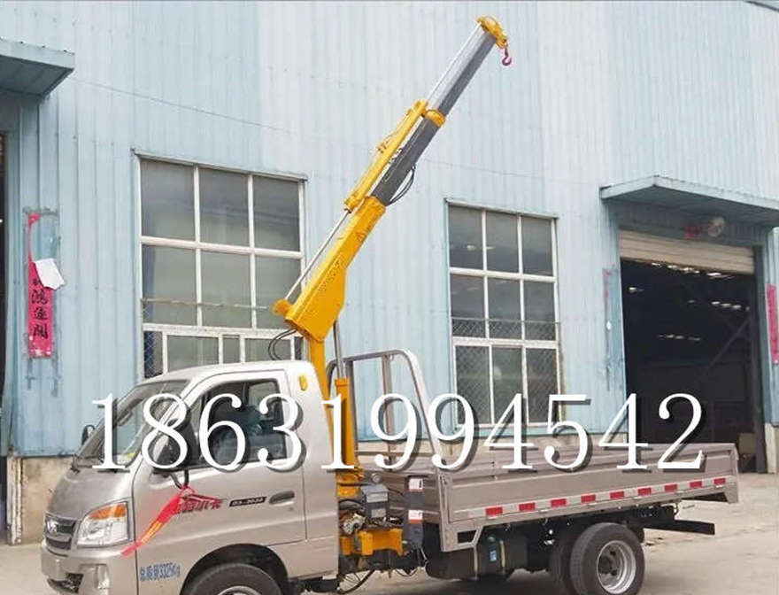 合水县车载吊机简易电动行走吊机车载吊机固定车载吊出租履带式液压合水县当地起重升降机